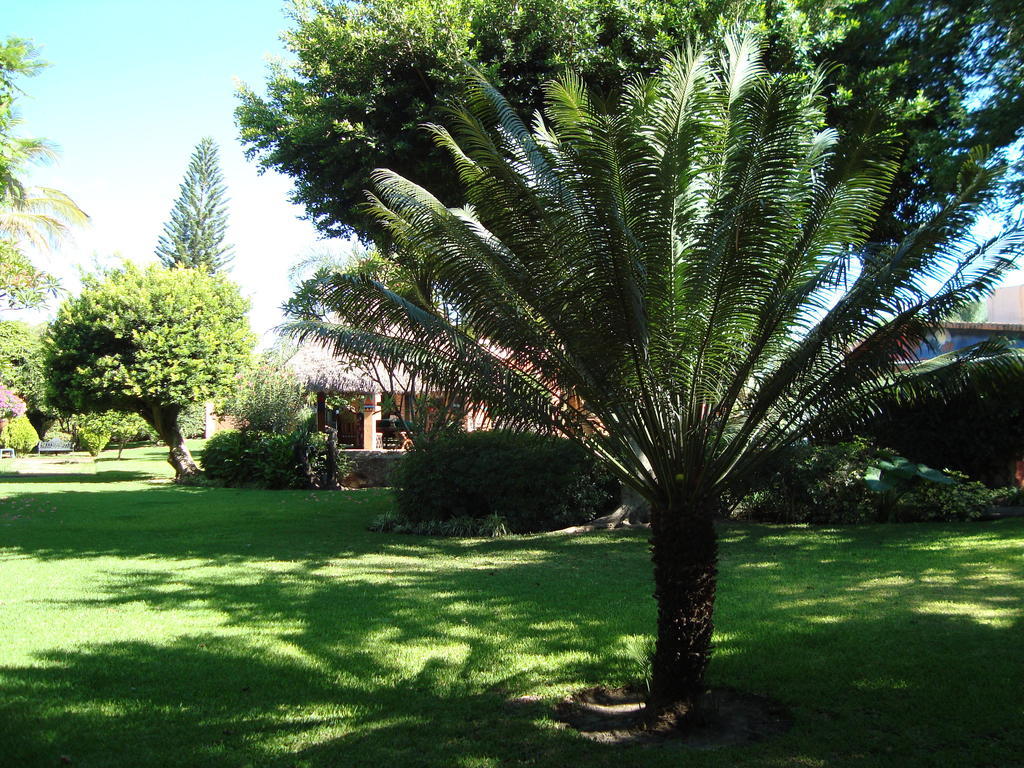 מלון שוצ'יטפק Casa Marly מראה חיצוני תמונה